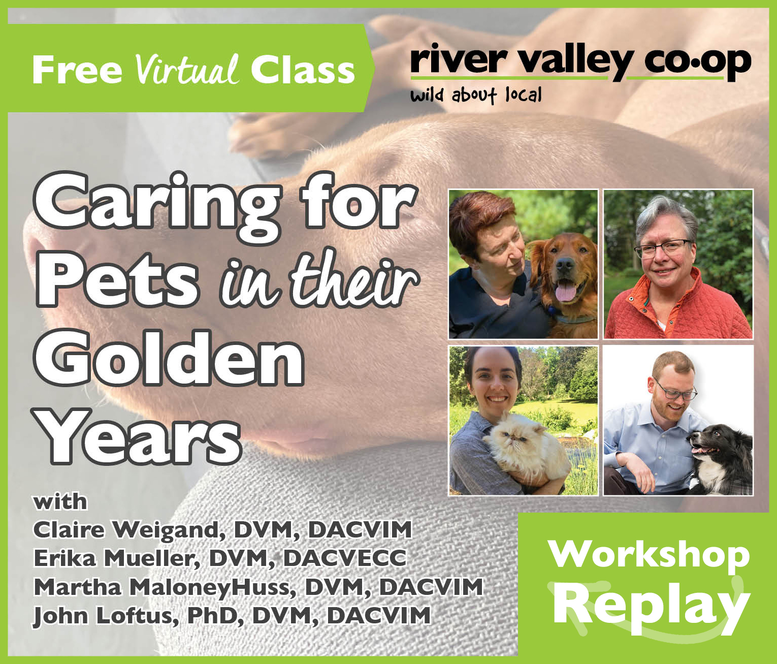 Click to watch our replay of "Caring for Pets in Their Golden Years"