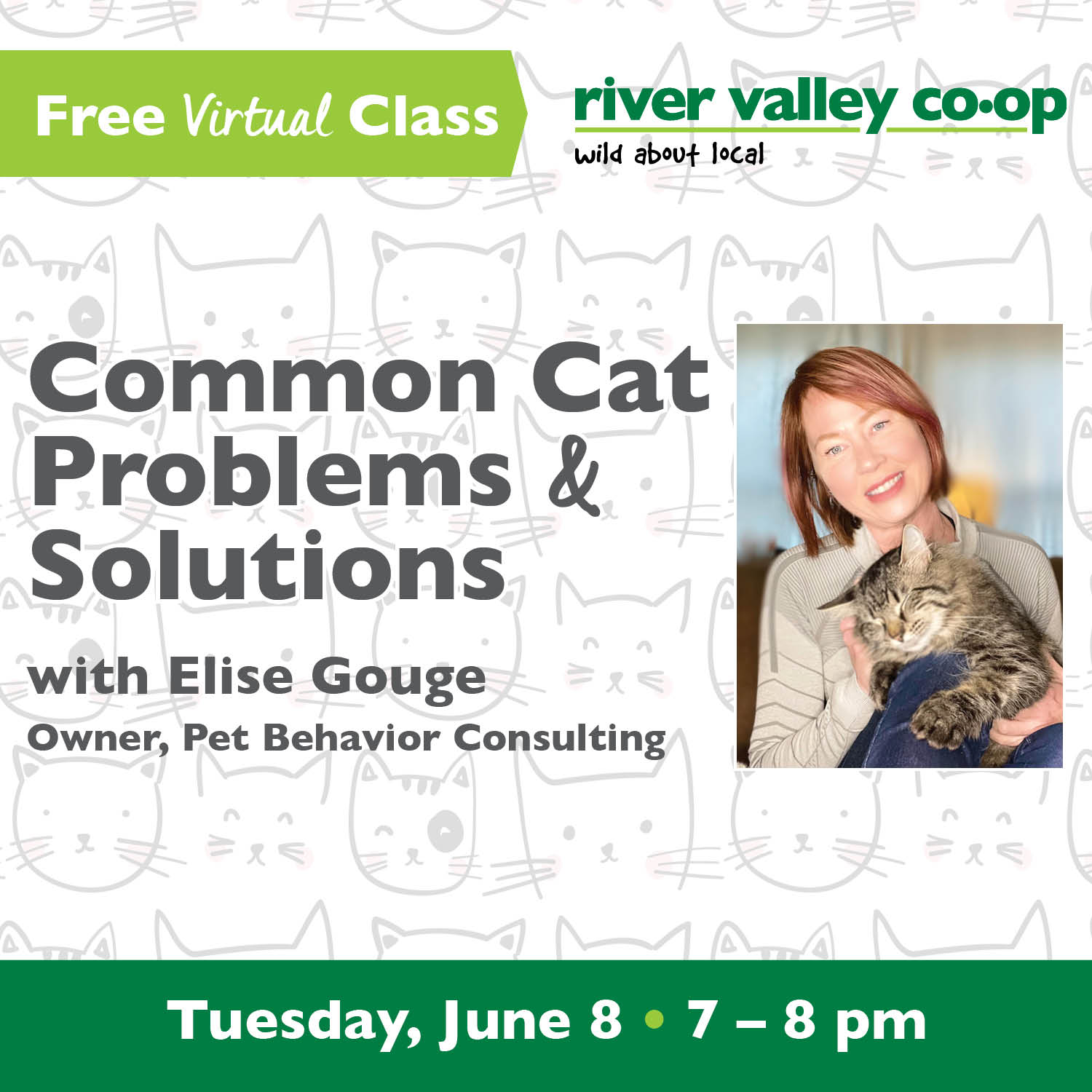 Click to watch our replay of "Common Cat Problems & Solutions"