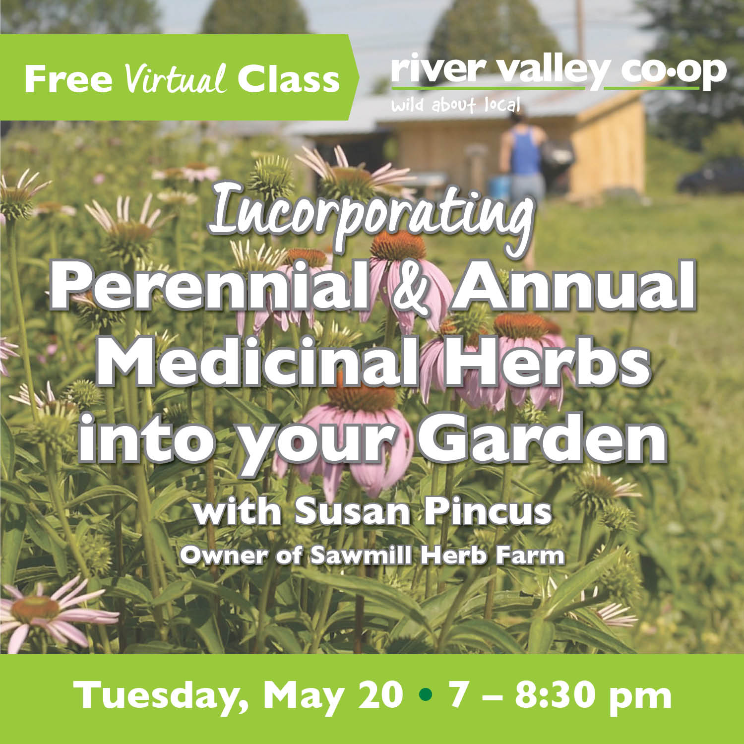 Click to watch "Incorporating Medicinal Herbs Into Your Garden"