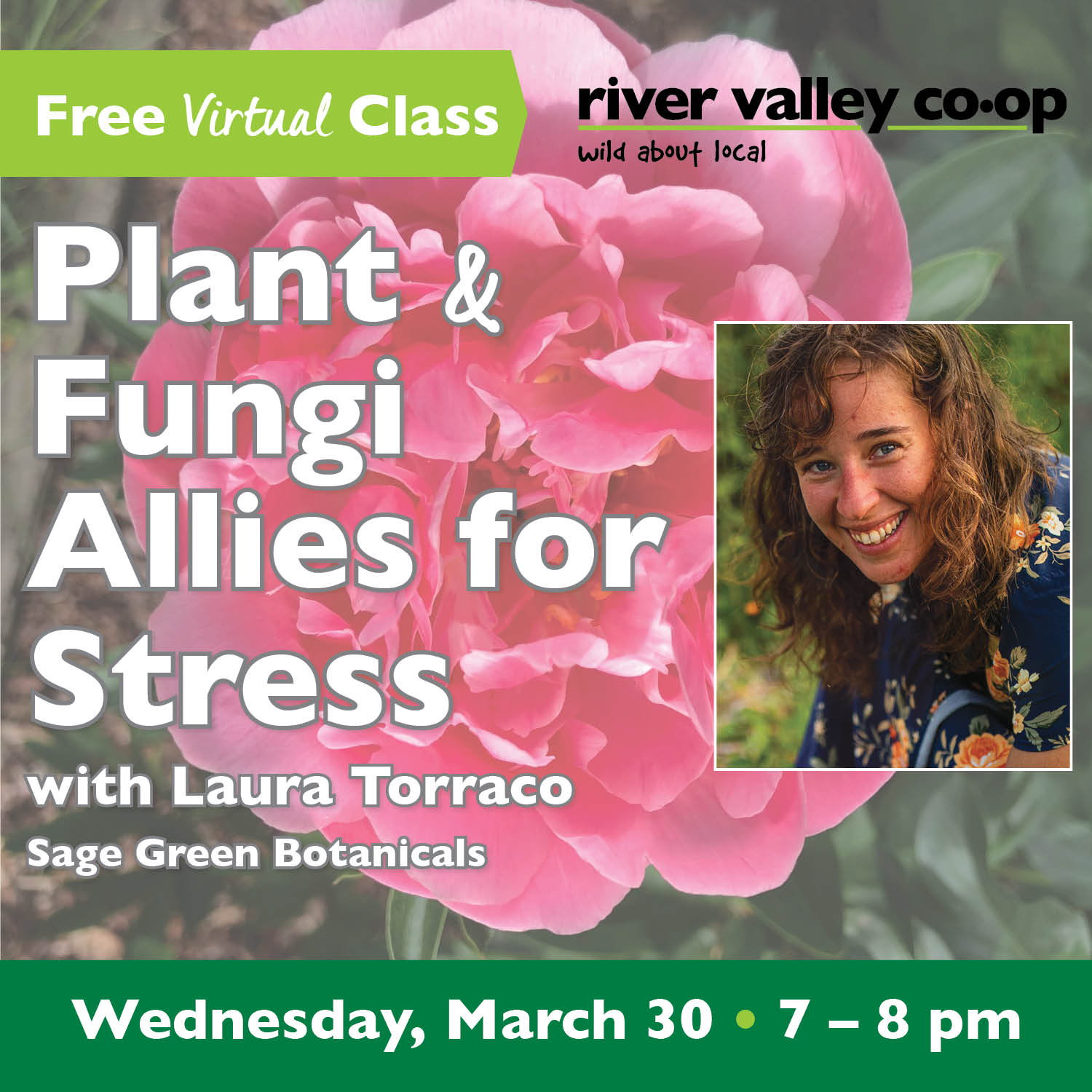 Click to watch our replay of "Plant and Fungi Allies for Stress"
